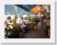 0601aBirdFlowerMarket - 10